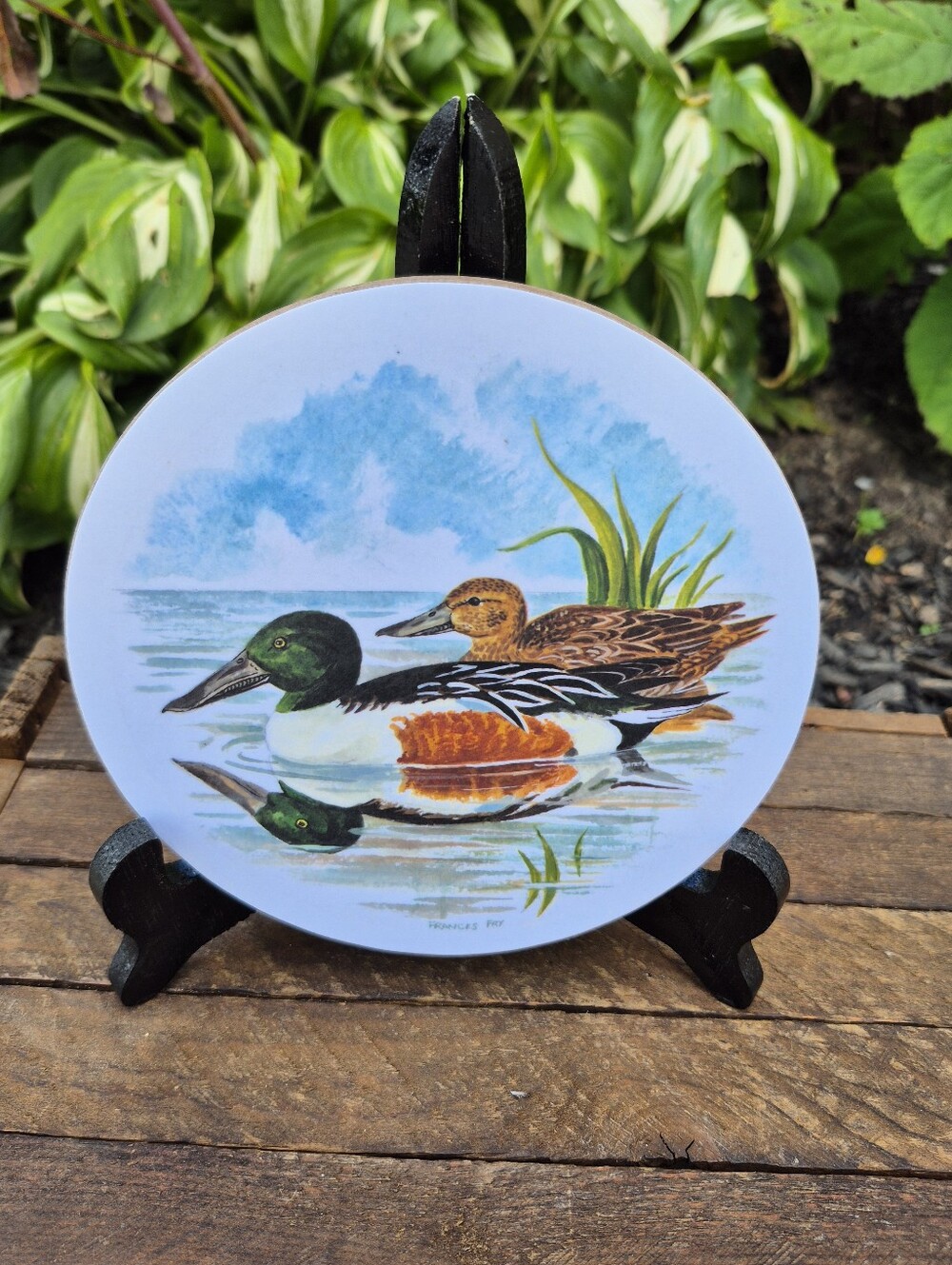 Frances Fry Vintage 6.25" Duck Trivet, Large Melamine Coaster Teapot Stand